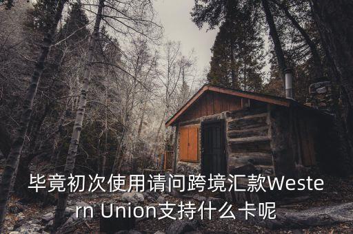 什么是西聯(lián)，畢竟初次使用請問跨境匯款Western Union支持什么卡呢