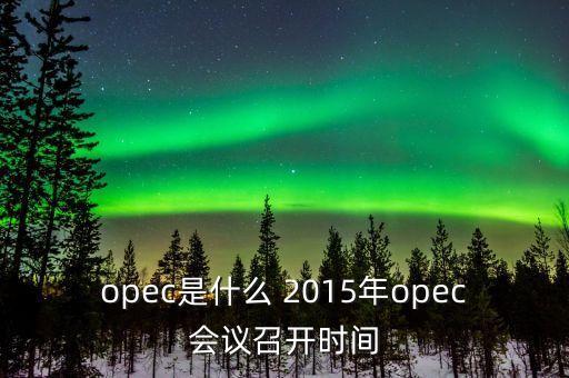 什么是opec會(huì)議，OPEC石油會(huì)議是什么時(shí)候召開(kāi)啊石油價(jià)格會(huì)受影響嗎