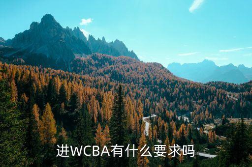 進(jìn)霍尼韋爾有什么要求，進(jìn)WCBA有什么要求嗎