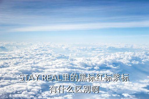 STAY REAL里的黑標紅標紫標有什么區(qū)別啊