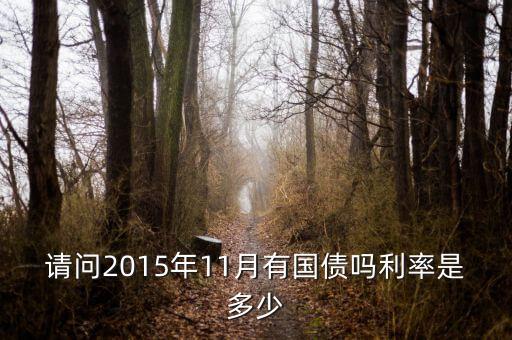 201511月發(fā)行什么國(guó)債，請(qǐng)問(wèn)2015年11月有國(guó)債嗎利率是多少