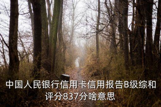 中國(guó)人民銀行信用卡信用報(bào)告B級(jí)綜和評(píng)分837分啥意思