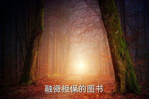 融資擔保的圖書