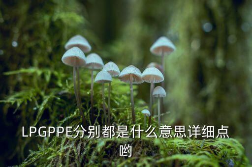 LPGPPE分別都是什么意思詳細(xì)點喲