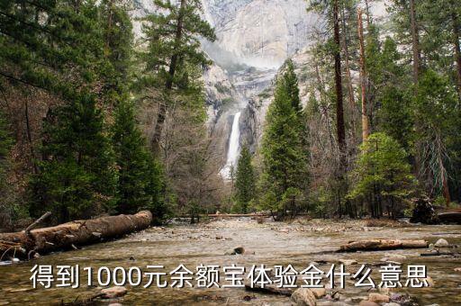 1000余額寶體驗(yàn)金是什么，得到1000元余額寶體驗(yàn)金什么意思