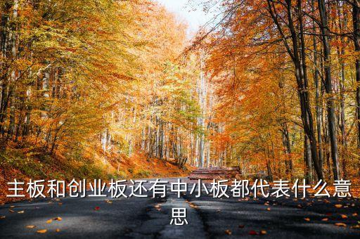 滬市主板是什么意思，什么是主板中小板和創(chuàng)業(yè)板它們都是干什么的請用白話簡短精