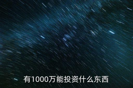 1000萬投資什么好，有1000萬能投資什么東西