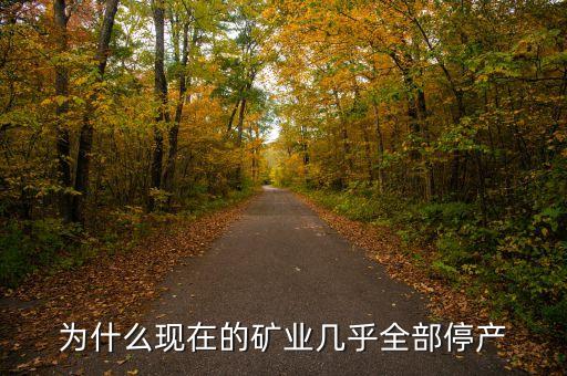 為什么現(xiàn)在的礦業(yè)幾乎全部停產(chǎn)