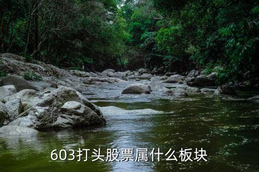 601608屬于什么板塊，600618屬于什么板塊