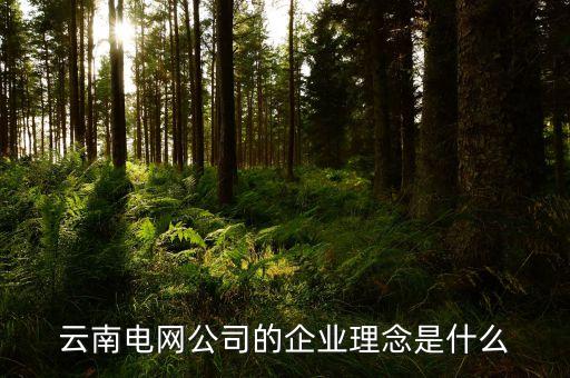 云南電網(wǎng)公司的企業(yè)理念是什么