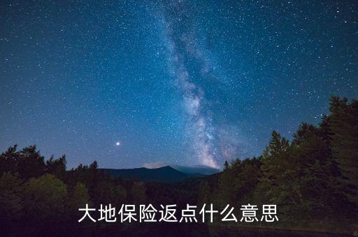 大地保險(xiǎn)返點(diǎn)什么意思