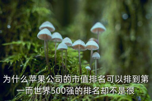 為什么蘋果公司的市值排名可以排到第一而世界500強(qiáng)的排名卻不是很