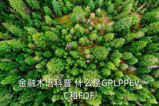 金融術語科普 什么是GPLPPEVC和FOF