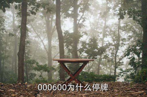 000600為什么停牌