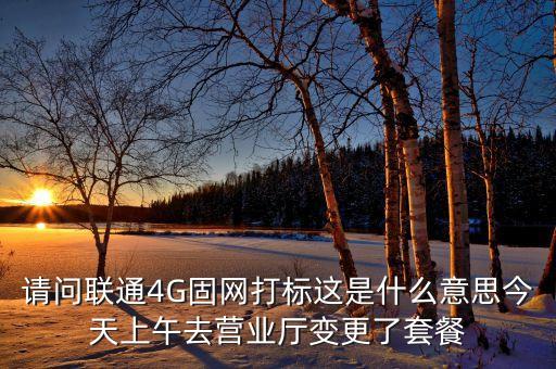 請(qǐng)問聯(lián)通4G固網(wǎng)打標(biāo)這是什么意思今天上午去營業(yè)廳變更了套餐