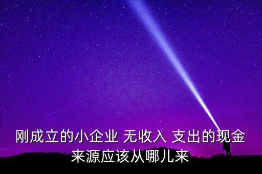 小企業(yè)主為什么沒現(xiàn)金，剛成立的小企業(yè) 無收入 支出的現(xiàn)金來源應(yīng)該從哪兒來