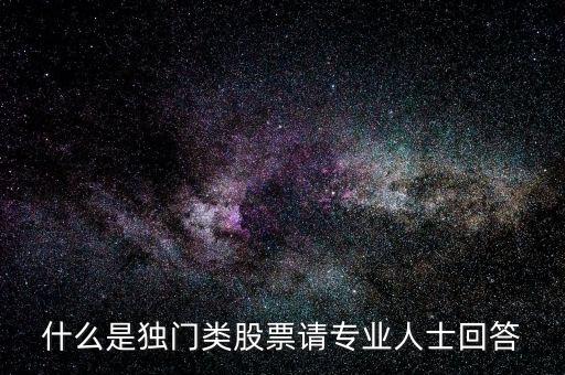 什么是獨(dú)門類股票請專業(yè)人士回答