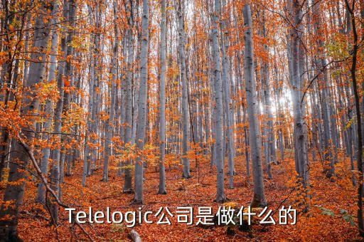 Telelogic公司是做什么的