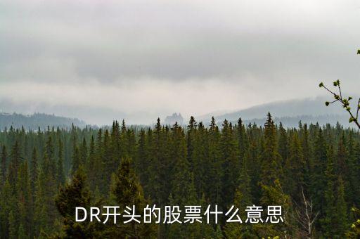 DR開頭的股票什么意思