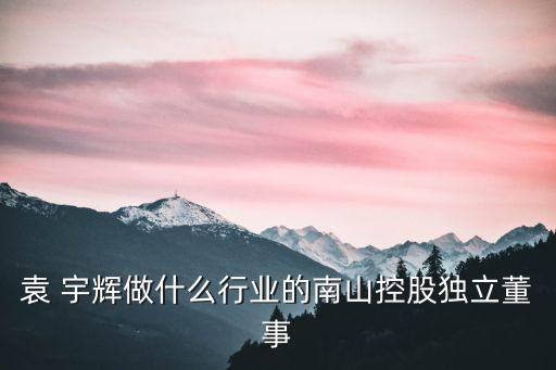 袁 宇輝做什么行業(yè)的南山控股獨立董事