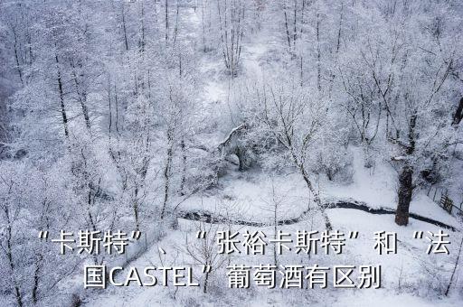 “卡斯特”、“ 張?？ㄋ固亍焙汀胺▏鳦ASTEL”葡萄酒有區(qū)別