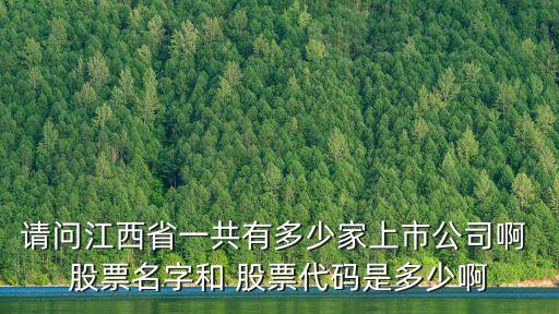 請(qǐng)問(wèn)江西省一共有多少家上市公司啊 股票名字和 股票代碼是多少啊