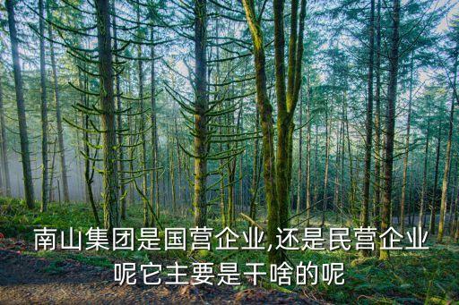 龍口市南山擔(dān)保有限公司,山東龍口市南山集團有限公司