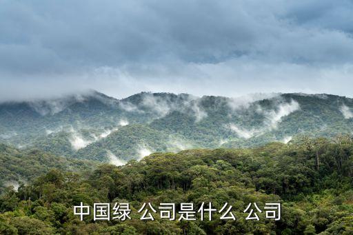 中國綠公司年會舉辦地點,中國茶業(yè)年會歷屆舉辦地點