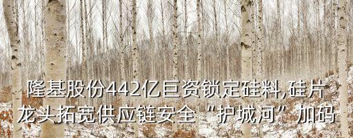 隆基股份442億巨資鎖定硅料,硅片龍頭拓寬供應(yīng)鏈安全“護城河”加碼