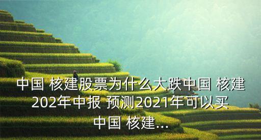 中國 核建股票為什么大跌中國 核建202年中報 預(yù)測2021年可以買中國 核建...