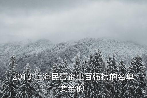 2010 上海民營(yíng)企業(yè)百?gòu)?qiáng)榜的名單要全的!