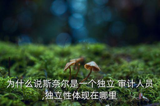 為什么說斯奈爾是一個獨立 審計人員,獨立性體現(xiàn)在哪里