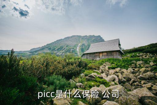 picc是什么保險(xiǎn) 公司