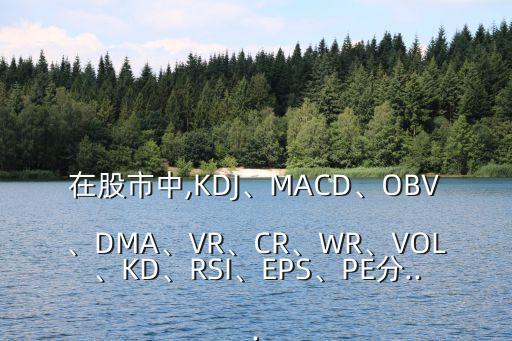 在股市中,KDJ、MACD、OBV、DMA、VR、CR、WR、VOL、KD、RSI、EPS、PE分...