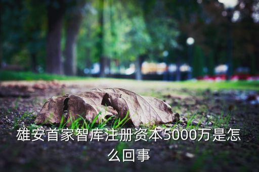 雄安首家智庫注冊資本5000萬是怎么回事