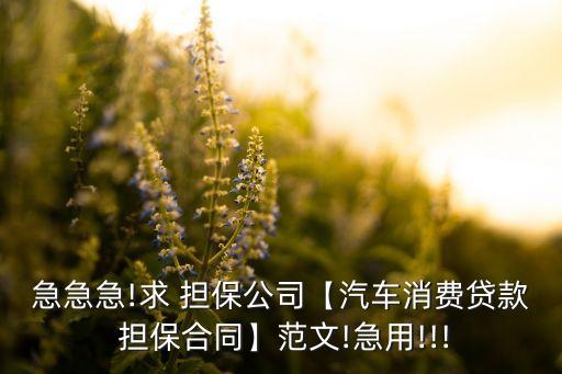 急急急!求 擔(dān)保公司【汽車消費貸款 擔(dān)保合同】范文!急用!!!