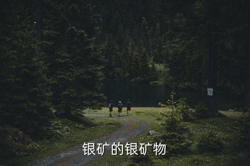 中國已探明白銀儲(chǔ)量,全球白銀探明儲(chǔ)量