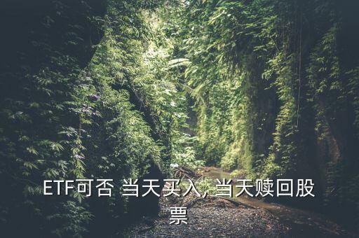 ETF可否 當(dāng)天買(mǎi)入, 當(dāng)天贖回股票