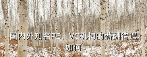 國內(nèi)外知名PE、VC機構(gòu)的薪酬待遇如何