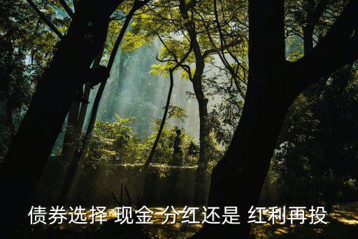 紅利再投資和現(xiàn)金分紅哪個(gè)好