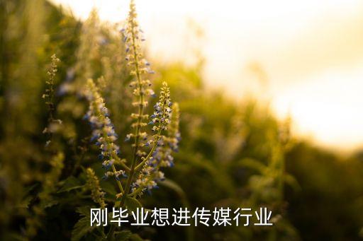 剛畢業(yè)想進傳媒行業(yè)