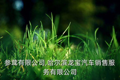 龍寶參茸有限公司,哈爾濱龍寶汽車銷售服務(wù)有限公司