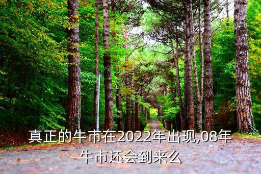 真正的牛市在2022年出現(xiàn),08年牛市還會到來么