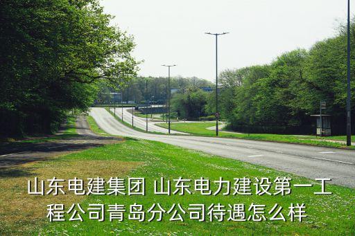 山東電力公司處長(zhǎng)工薪