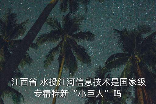  江西省 水投江河信息技術是國家級專精特新“小巨人”嗎