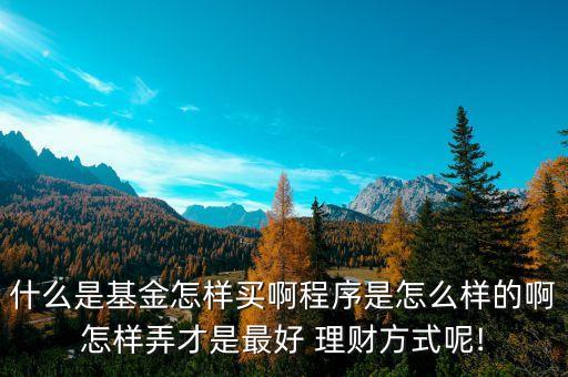 什么是基金怎樣買啊程序是怎么樣的啊怎樣弄才是最好 理財方式呢!