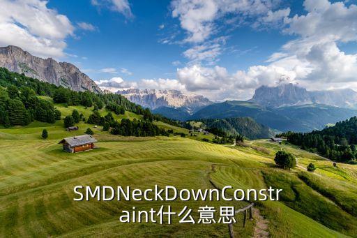 SMDNeckDownConstraint什么意思