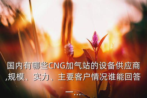 國內(nèi)有哪些CNG加氣站的設(shè)備供應(yīng)商,規(guī)模、實力、主要客戶情況誰能回答一...