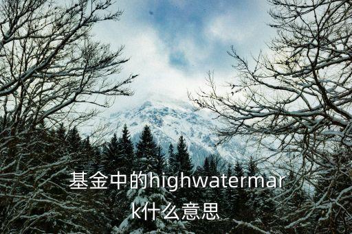  基金中的highwatermark什么意思