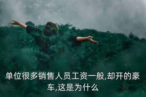 單位很多銷售人員工資一般,卻開的豪車,這是為什么